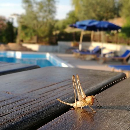 Agriturismo Cornieto Monteleone d'Orvieto Экстерьер фото