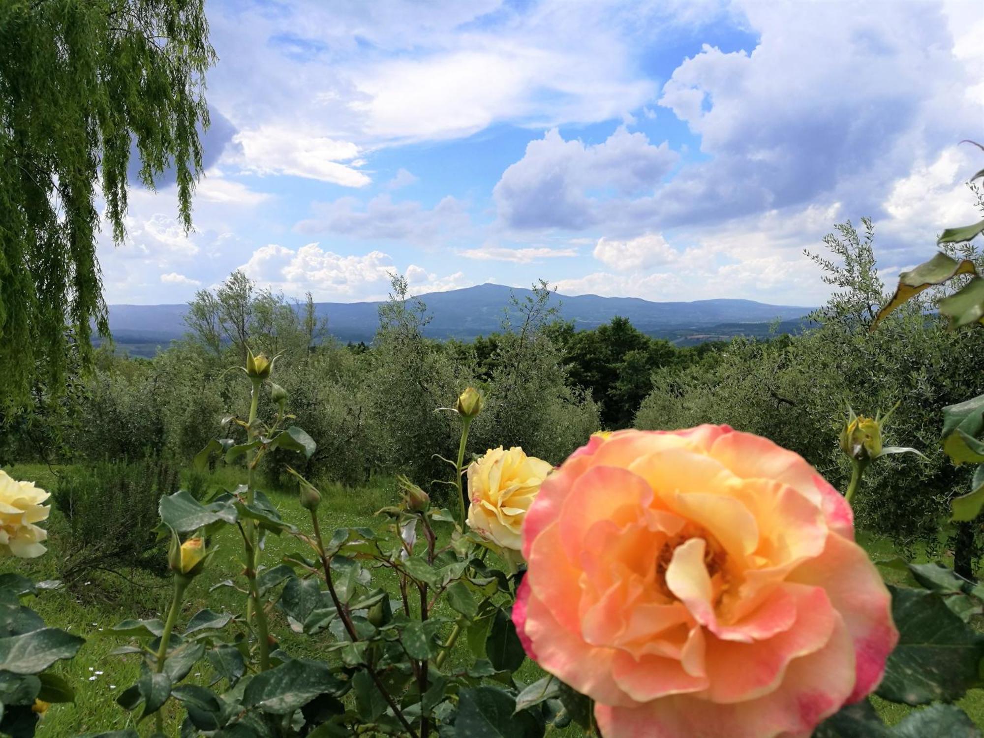 Agriturismo Cornieto Monteleone d'Orvieto Экстерьер фото