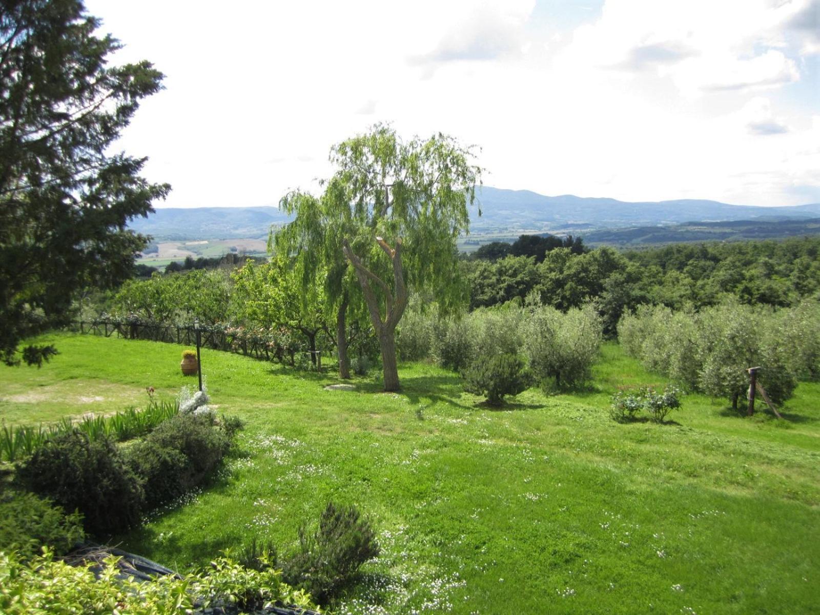 Agriturismo Cornieto Monteleone d'Orvieto Экстерьер фото