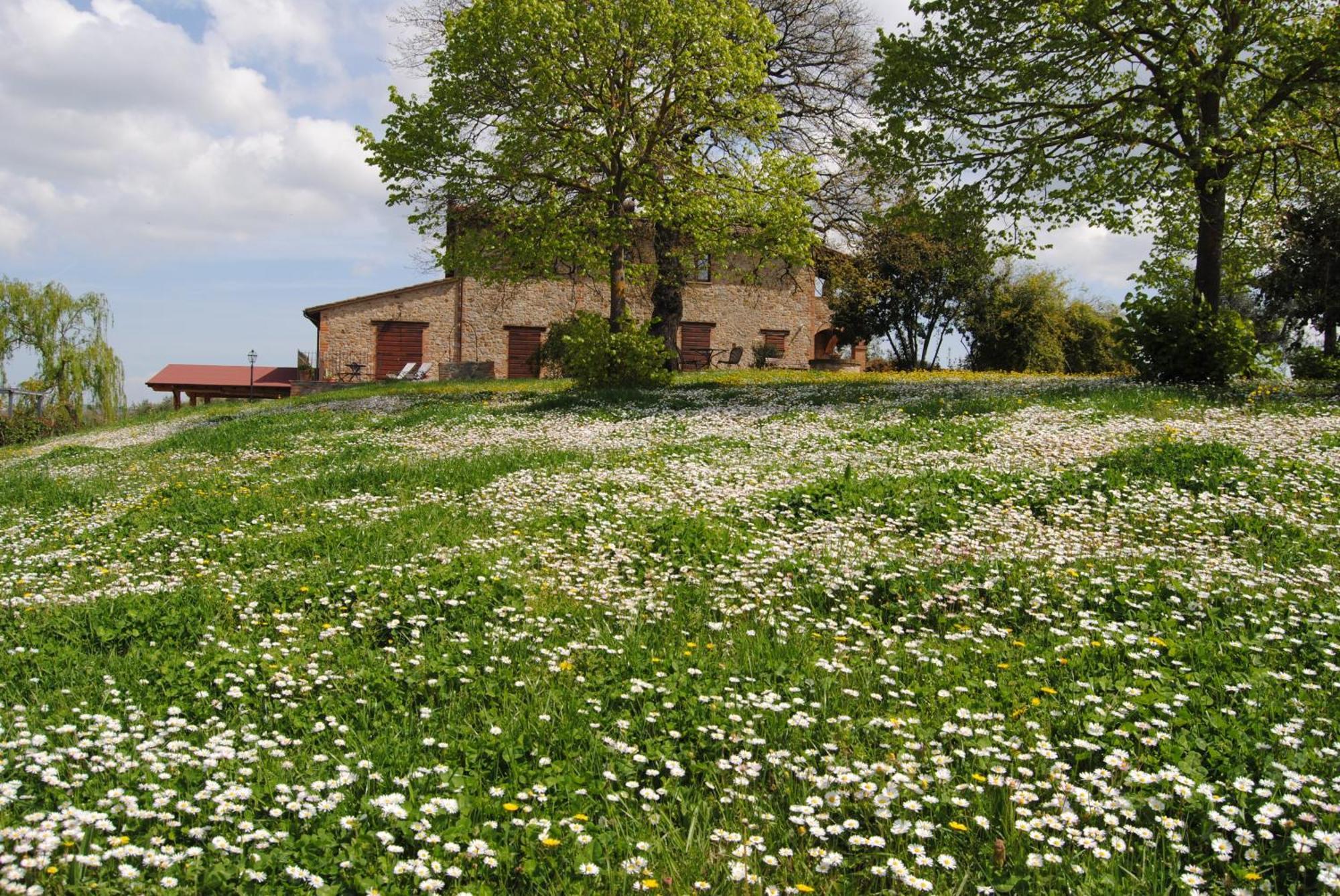 Agriturismo Cornieto Monteleone d'Orvieto Экстерьер фото