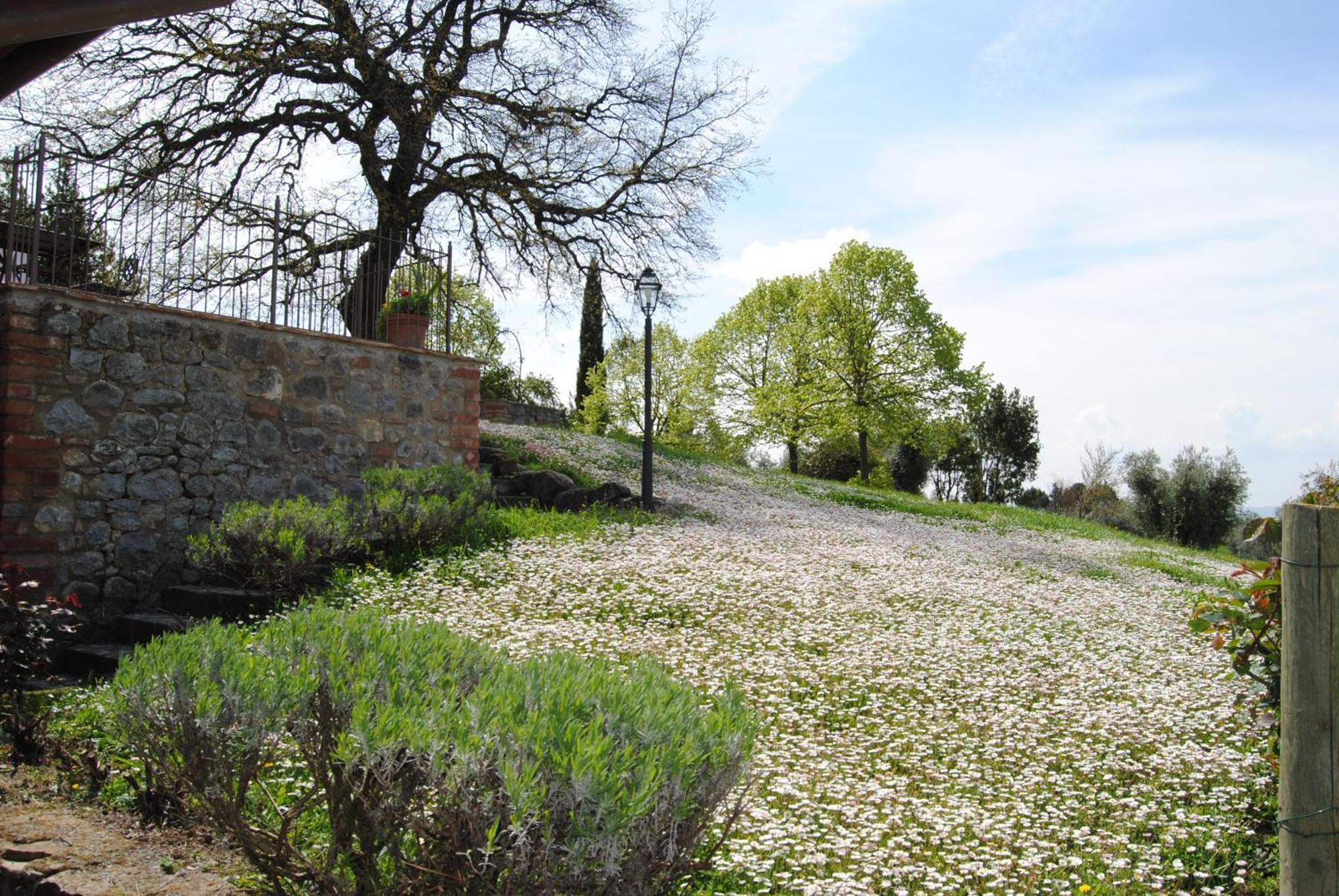 Agriturismo Cornieto Monteleone d'Orvieto Экстерьер фото